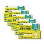【5個】【ステロイド軟膏】『カユ
