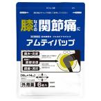 [ большой размер 6 листов ][amtipap]l10cm×14cmlfe рубин nak70mg сочетание l плечо * поясница * спина * локоть * колено. .. боль * мышечная боль .l боль *........[ no. 2 вид фармацевтический препарат ]