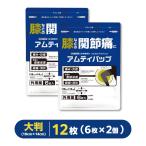 [ большой размер 6 листов ×2 шт ][amtipap]l10cm×14cmlfe рубин nak сочетание l плечо * поясница * спина * локоть * колено. .. боль * мышечная боль .l боль *........[ no. 2 вид фармацевтический препарат ]