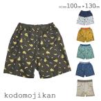 キッズ 水着 男の子 恐竜 子供 サメ柄 バナナ柄 ベビー スイムパンツ 水泳 スイムウェア プール 海 紫外線対策 水遊び 幼稚園 保育園 アニマル 動物