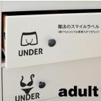 adult アダルト ステッカー 6枚セット 整理整頓 雑誌掲載 片付け シール 収納 ボックス クローゼット 簡単 アイデア ラベル タンス 収納術 コツ おしゃれ ケース