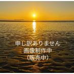 六花亭 霜だたみ 5個入×18個セット