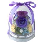 ショッピングプリザーブドフラワー フローリストレマン プリザーブドフラワー ドーム 敬老の日 長寿祝い 古希 喜寿 紫 女性 お母さん 祖母 女性 (パープル)