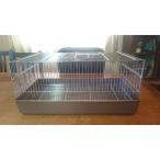 ウズラ大学 ウズラに ゲージ１０号