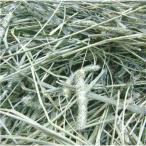 a...2024 новый .. поступление бесплатная доставка America производство 1 номер ..chimosi- одиночный Press 1kg x5 пакет 