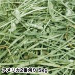 [....]chimosi- America 2 номер .. одиночный Press 5kg
