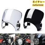Kawasaki/Z900RS для Wind экран обтекатель с экраном обтекатель Wind Kawasaki аксессуары 