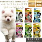 ハイパーブリンカーズ EX 光るペット用ライト 犬用 │ LEDライト 夜間 散歩用 ライト 全6色 ホワイト レッド ブルー ピンク グリーン イエロー 防水 軽量 小型犬