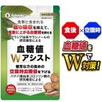 血糖値を下げる サプリ バナバ サラシア 血糖値Wアシスト 食後血糖値 空腹時血糖値 糖の吸収を抑える 機能性表示食品 桑の葉 ギムネマ イヌリン シナモン 30日分