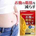 ダイエット サプリ お腹の脂肪 皮下脂肪 内臓脂肪を減らす 機能性表示食品 ナイシメンテEX ブラックジンジャー ダイエットサプリ 30日分 カルニチン