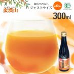 有機サジージュース サジーベリー バンカンサンサジー 300ml 【瓶タイプ】 鉄分 リンゴ酸 ミネラル ビタミンC βカロテン アミノ酸 ビタミンE など200種類以上