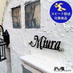 表札 おしゃれ 戸建て ステンレス アイアン タイプF
