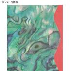 5/30-6/1は全品+P5% あわび本舗 Pro重見アワビシート (エギ専用) 小判 九州最強 (5)★ドングリーン