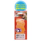 5/30-6/1は全品+P5% あわび本舗 Sサイズプロアワビシート S 重見アワビS/超サイトオレンジ