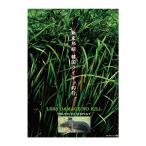 釣り関連本・DVD 釣りビジョン 新家邦紹 韓国ライギョ釣行 TRUTH OF SERPENT DVD89分