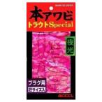 5/30-6/1は全品+P5% アクセル 本アワビ トラウトスペシャル プラグ用 P-02 グローピンク