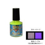 9/29-10/2全品+4% 東邦産業 DIA COLOR(ダイアカラー) 10ml 蓄光パープル