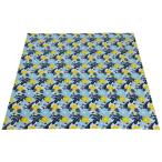 ショッピングプールマット アウトドアマット キャプテンスタッグ プールマット180×180cm