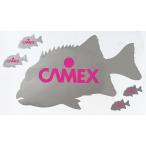 5/30-6/1は全品+P5% CAMEX 石鯛ステッカー