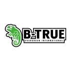 エバーグリーン ボートデッキステッカー W400 B-TRUE