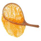 ランディングネット テイルウォーク (わけあり品特価)ケイソン ストリームネット L