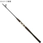 3/15全品+P5% ジギングロッド ひしも ソルダムゴースト SOMG-S603 ストレート(スピニング) SOMG-S603