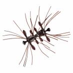 バス釣り用ソフトルアー ダイワ スティーズ クアッドフォーゼ 51mm スカッパノン