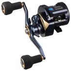 ベイトリール ダイワ (予約2月発売)25SALTIGA(ソルティガ) IC 100P-DH-C 右巻き 100P-DH-C