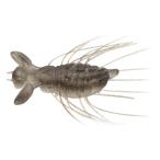 バス釣り用ソフトルアー エバーグリーン フラッターギズモ 38mm #18 シークレットスモーク