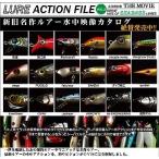 釣り関連本・DVD 釣りビジョン ルアーアクションファイル THE MOVIE VOL.2 DVD 約78分 グレート ヒッツ オブ シーバス ルアーズ