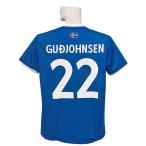 ***限定入荷***(エレア) ERREA/16/17アイスランド代表