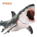 PNSO メガロドン ホホジロザメ パットン サメ 海洋動物 生物 魚類 フィギュア PVC モデル プラモデル おもちゃ プレミアム 15.8cm