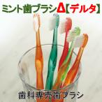 歯ブラシ　ミント歯ブラシデルタ　1本