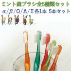 歯ブラシ　ミント歯ブラシ全５種類　お試しセット