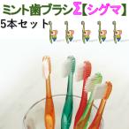 歯ブラシ　ミント歯ブラシシグマ　5本セット