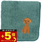 阪急ハロードッグオーガニックコット...