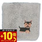 阪急ハロードッグオーガニックコット...