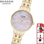 スカーゲン SKAGEN 腕時計 レディース ANITA LILLE 三針 ゴールドトーン ステンレススチールウォッチ SKW3165
