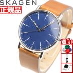 スカーゲン SKAGEN 腕時計 メンズ SKW6355