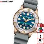 シチズン プロマスター マリン エコドライブ ダイバー200mペア 構造色限定 腕時計 レディース EO2023-00W