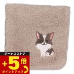 阪急ハロードッグオーガニックコット...