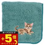 阪急ハロードッグオーガニックコット...