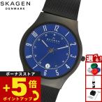 スカーゲン SKAGEN 腕時計 メンズ SUNDBY チタン＆ミッドナイトスチール メッシュウォッチ T233XLTMN