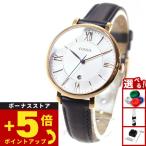 フォッシル（FOSSIL） 腕時計 レディース ES3843