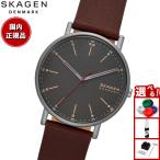 スカーゲン SKAGEN 腕時計 メンズ SIGNATUR シグネチャー SKW6860 チェリーウッド