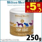 倍々+5倍！最大ポイント26倍！本日�