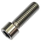  нержавеющая сталь маленький голова шестигранная головка колпак болт M5 × длина 15mm 2 штук 