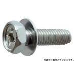 （＋）アプセットＰ＝１  6 X 10 ステンレス 生地 【200本】