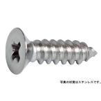 （＋）Ａ皿 鉄 ＢＣ(黒クロメート)  4 X 15 【パック商品110本】