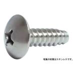 （＋）Ｂ０トラス 鉄 クロメート  5 X 25 【パック商品50本入】